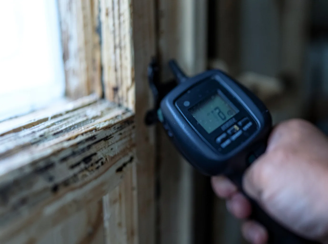 Commercial Water Damage Restoration in Torrey, UT